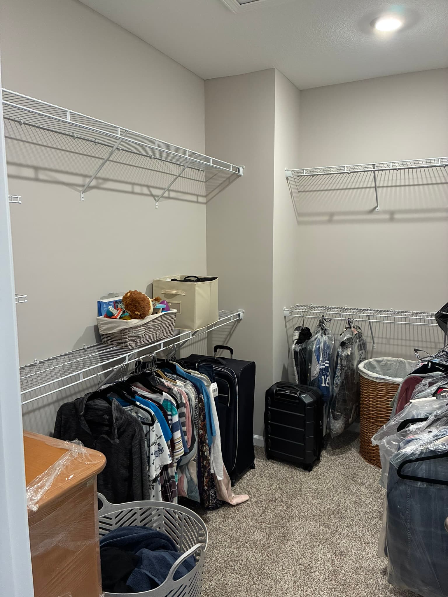 Closet before remodel